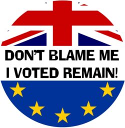 Don't Blame Me, I Voted Remain - (TWO PACK) - Car Bumper / Laptop / Window / Decal / Sticker