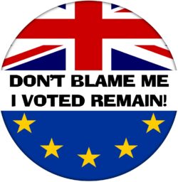 Don't Blame Me - I Voted Remain - 59mm Badge Referendum Brexit European Union EU Vote Leave Stay