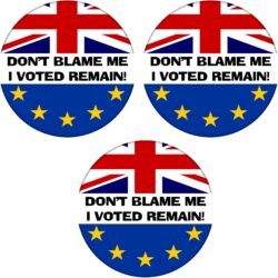 Don't Blame Me I Voted Remain - 3 PACK - 59mm Badge Referendum Brexit European Union EU Vote Leave Stay