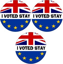 I Voted Stay - 3 PACK - 59mm Badge Referendum Brexit European Union EU Vote Leave Stay