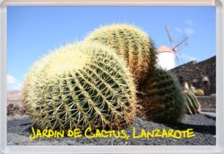 Jardin de Cactus - Lanzarote - Spain - Jumbo Fridge Magnet Souvenir Gift Present