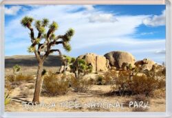 Joshua Tree National Park - California - USA - Jumbo Fridge Magnet Souvenir Gift Present