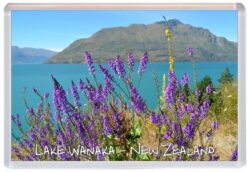 Lake Wanaka - New Zealand - Jumbo Fridge Magnet Souvenir Gift Present