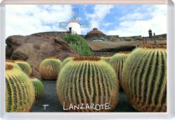 Lanzarote - Spain - Jumbo Fridge Magnet Souvenir Gift Present Cactus