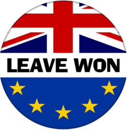 Leave Won - 59mm Badge Referendum Brexit European Union EU Vote Leave Stay