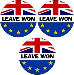 Leave Won - 3 PACK - 59mm Badge Referendum Brexit European Union EU Vote Leave Stay