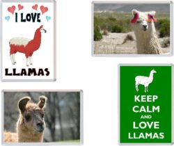 Llama/Llamas - Keep Calm, I Love & More - 4 PACK - Jumbo Fridge Magnet Souvenir Gift Present