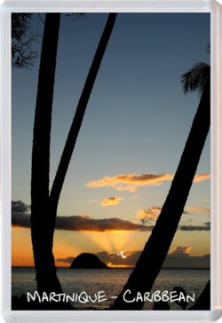 Martinique - Caribbean - Jumbo Fridge Magnet Souvenir Gift Present (b)
