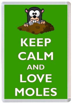 Keep Calm and Love Moles - Jumbo Fridge Magnet Souvenir Gift Present