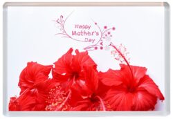 Happy Mother's Day - Jumbo Fridge Magnet Souvenir Gift Mothers Day Present Red Flower