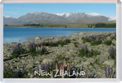 New Zealand - Jumbo Fridge Magnet Souvenir Gift Present