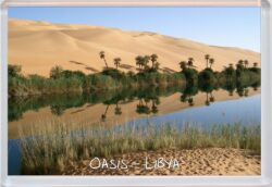 Oasis - Libya - Africa - Jumbo Fridge Magnet Souvenir Gift