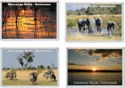 Okavango Delta - Botswana - 4 PACK - Jumbo Fridge Magnet Souvenir Gift Present