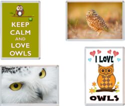 Owl/Owls - Keep Calm, I Love & More - 4 PACK - Jumbo Fridge Magnet Souvenir Gift Present