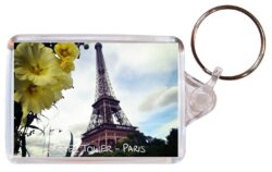 Eiffel Tower - Paris - France ? Double Sided Large Keyring Key Fob Chain Ring Gift Present Souvenir Flowers
