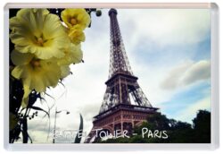 Eiffel Tower - Paris - France - Jumbo Fridge Magnet Souvenir Gift Present Flowers
