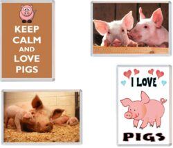 Pig/Pigs - Keep Calm, I Love & More - 4 PACK - Jumbo Fridge Magnet Souvenir Gift Present