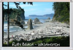 Ruby Beach - Washington - USA - Jumbo Fridge Magnet Souvenir Gift Present