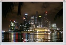 Singapore - Jumbo Fridge Magnet Souvenir Gift Present (d)