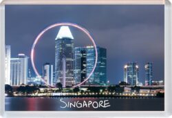 Singapore - Jumbo Fridge Magnet Souvenir Gift Present (b)