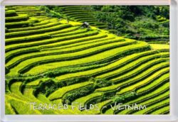 Vietnam - Terraced Fields - Jumbo Fridge Magnet Souvenir Gift Present