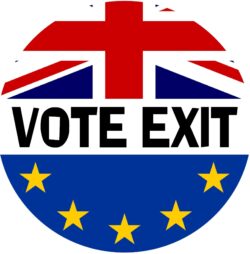 Vote Exit - (TWO PACK) - Car Bumper / Laptop / Window / Decal / Sticker