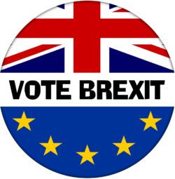 Vote Brexit - 59mm Badge Referendum Brexit European Union EU Vote Leave Stay