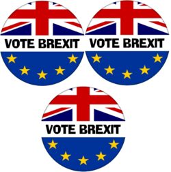 Vote Brexit - 3 PACK - 59mm Badge Referendum Brexit European Union EU Vote Leave Stay