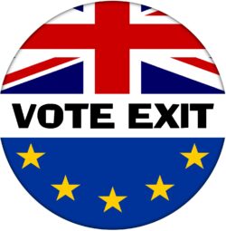 Vote Exit - 59mm Badge Referendum Brexit European Union EU Vote Leave Stay