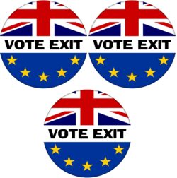 Vote Exit - 3 PACK - 59mm Badge Referendum Brexit European Union EU Vote Leave Stay