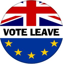 Vote Leave - 59mm Badge Referendum Brexit European Union EU Vote Leave Stay