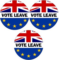 Vote Leave - 3 PACK - 59mm Badge Referendum Brexit European Union EU Vote Leave Stay