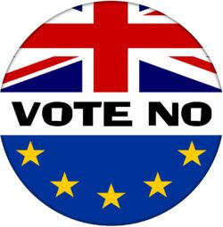 Vote No - 59mm Badge Referendum Brexit European Union EU Vote Leave Stay