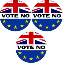 Vote No - 3 PACK - 59mm Badge Referendum Brexit European Union EU Vote Leave Stay