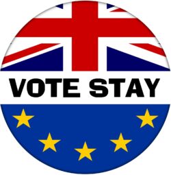 Vote Stay - 59mm Badge Referendum Brexit European Union EU Vote Leave Stay