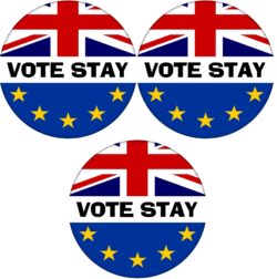 Vote Stay - 3 PACK - 59mm Badge Referendum Brexit European Union EU Vote Leave Stay