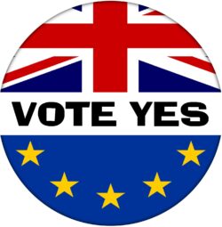 Vote Yes - 59mm Badge Referendum Brexit European Union EU Vote Leave Stay