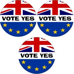 Vote Yes - 3 PACK - 59mm Badge Referendum Brexit European Union EU Vote Leave Stay