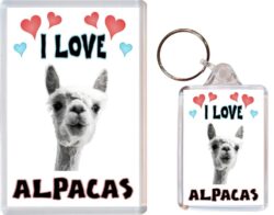 Alpacas Keyring & Fridge Magnet