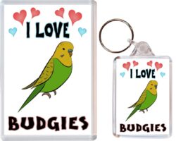 I Love Budgie / Budgies - 1 x Jumbo Fridge Magnet & 1 x Double Sided Large Keyring - Gift Souvenir Present