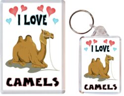 I Love Camel / Camels - 1 x Jumbo Fridge Magnet & 1 x Double Sided Large Keyring - Gift Souvenir Present