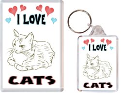 I Love Cats - 1 x Jumbo Fridge Magnet & 1 x Double Sided Large Keyring - Gift Souvenir Present