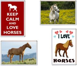 Horse / Horses Fridge Magnet Gift Present