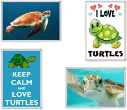 Turtle / Turtles Fridge Magnet Gifts Presents