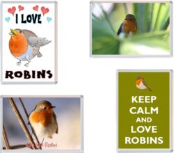 Robin / Robins Fridge Magnet Gift