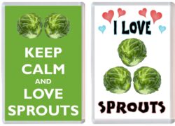 Sprouts Fridge Magnet Gift