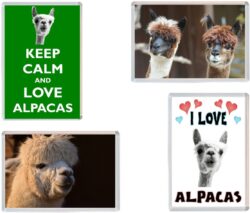 Alpaca / Alpacas - 4 PACK - Jumbo Fridge Magnet Souvenir Gift Present