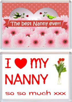 Nanny Fridge Magnets Gifts Presents