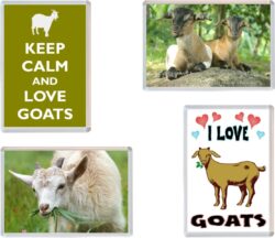 Goat / Goats - 4 PACK - Jumbo Fridge Magnet Cute Souvenir Gift Present