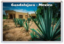 Guadalajara - Mexico - Jumbo Fridge Magnet Souvenir Gift Present C2